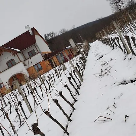 Vinox Winery Vinica