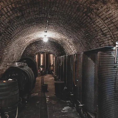 Vinox Winery *